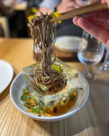 Authentic japanese cuisine