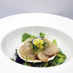 STARTER SCALLOPS CRUDO